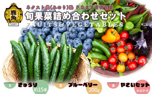 《先行予約》令和9年産 ネクスト農（みのり）塾 PRESENTS 旬果菜詰め合わせセット「きゅうり／生ブルーベリー／旬の野菜」【優作ファーム】●2027年7月上旬発送開始 野菜 旬 果物 くだもの フルーツ 食べ比べ セット 詰め合わせ 贅沢 特産 国産 鹿角産 秋田県 秋田 あきた 鹿角市 鹿角 かづの ギフト プレゼント