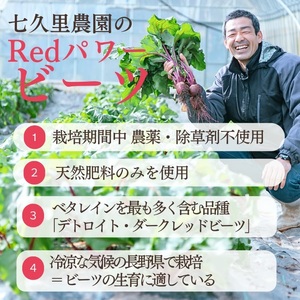 レッド パワー ビーツ 約1.5kg | 野菜 ビーツ 生ビーツ レッドパワー レッドパワービーツ 長野県 信州 南信州 飯田市