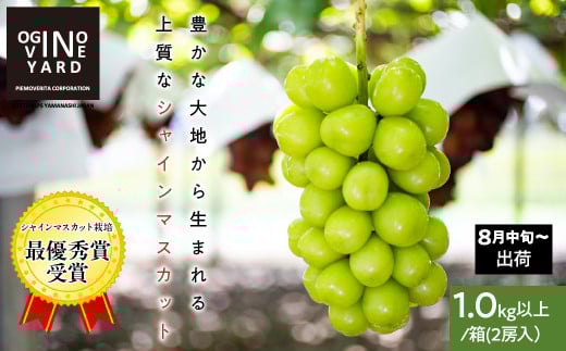 【2025年先行予約_8月中旬～発送】山梨県産シャインマスカット 1．０ｋｇ以上／箱　２房入 ALPAK004｜おすすめ 人気 山梨県 産地直送 フルーツ 果物 くだもの ブドウ ぶどう シャイン マスカット くだもの  国産 葡萄  新鮮