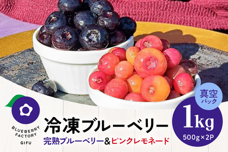 【希少品種食べ比べ】冷凍ブルーベリー ピンクレモネード＆大粒品種 1kgパック(500g×2) A16-013