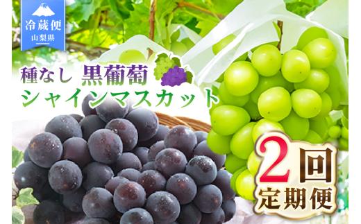 【2026年発送 先行予約】2回定期便 旬のフルーツ定期便（種無し黒葡萄2～3房・シャインマスカット2～3房） 180-008-26y