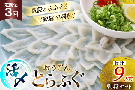 ふぐ 刺身 セット 活〆 おうごんとらふぐ 刺身セット 3人前 3回 定期便 [松永水産 長崎県 平戸市 hr42bgy400161]