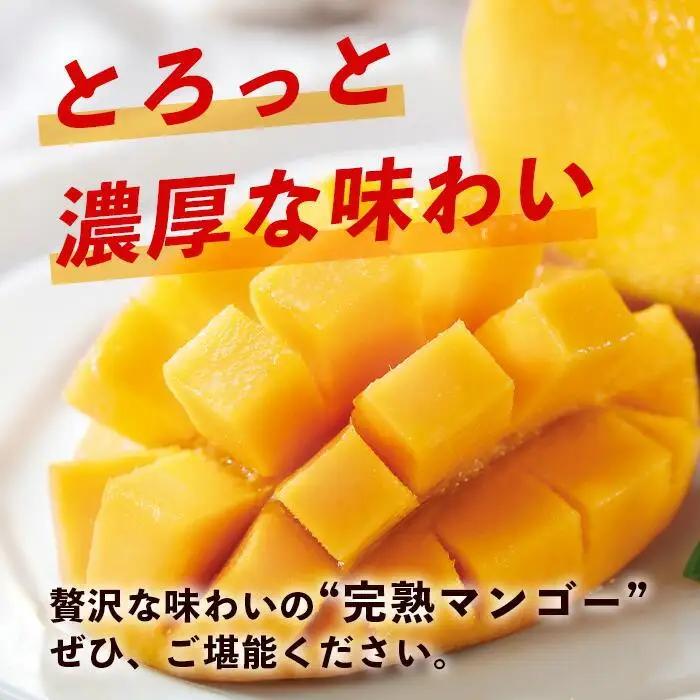【訳あり】石垣島産 マンゴー (アーウィン種)  9～12玉(箱含め約5kg)  TP-3