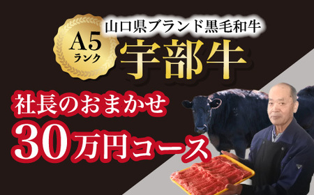 【山口宇部牛】社長おまかせ＜３０万円コース＞黒毛和牛Ａ５ランク宇部牛（黒毛 和牛 宇部 山口 和牛 極上 和牛 牛 A5ランク 和牛 サーロイン ローストビーフ ステーキ）AX22-FN