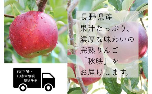 糖度が高くて酸味が強い、別名「黒りんご」。