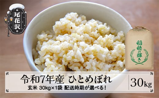 令和7年産 玄米 ひとめぼれ 30kg 30kg×1袋 2月上旬発送 kh-higxa30-2f