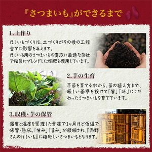 【先行受付・12月以降発送】(訳あり)西野さんのほしいも　紅はるか　切り落とし(200g×5袋)【1660799】