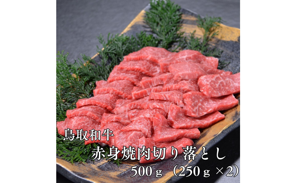 鳥取和牛赤身焼肉切り落とし　500g（250g×2P） 313726_DC002