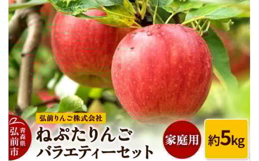 りんご ねぷたりんご バラエティーセット 家庭用 約5kg