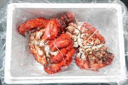 ＜12月22日決済分まで年内配送＞【北海道根室産】花咲ガニ(オス・メス)各1尾(計1.5kg前後) D-57041