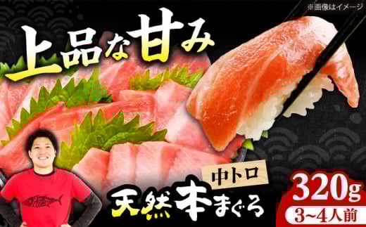 まぐろ 極上！たね熟天然本まぐろ中トロ(320g) 天然 マグロ 鮪 中トロ 刺身 魚 魚介 魚介類 海鮮丼 本マグロ 本鮪 中とろ 中トロ 冷凍 お刺身 お寿司 大阪府高槻市/本まぐろ直売所 [AOCE009] 本マグロ 刺身 寿司 海鮮 旨み 脂のり 切り身 鮮度抜群 海鮮丼 お取り寄せ 高級魚 ギフト 贈答用 海の幸 家飲み ごちそう おつまみ 炙り丼 手巻き寿司 お祝い パーティー