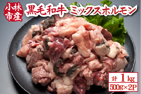 【自社農場和牛】黒毛和牛ミックスホルモン 1kg（500g×2P 国産 牛肉 黒毛和牛 ホルモン 焼肉 BBQ 冷凍）