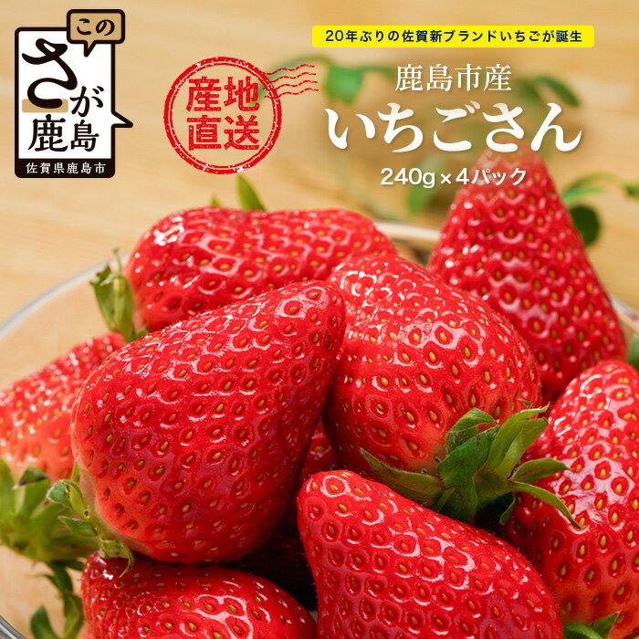 【ふるさと納税】いちごさん 240g×4P★先行予約★【生産者直送】ふるさと納税 いちご イチゴ 苺 果物 フルーツ 旬 贈答用 お取り寄せ ギフト ふるさと 人気 佐賀県 鹿島市 送料無料 【2026年2月頃～4月頃の発送予定】B-891