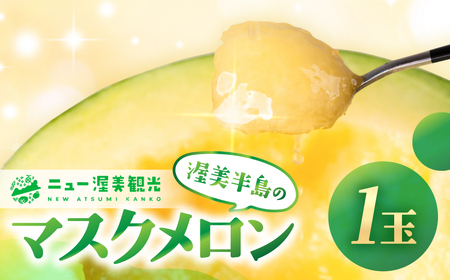 【先行予約】マスクメロン 1玉 ニュー渥美 メロン