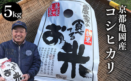 令和7年産 コシヒカリ 5kg 米 白米