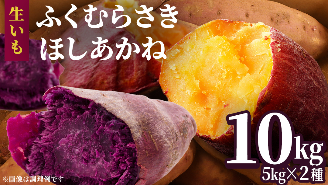 さつまいも 【 ふくむらさき ・ ほしあかね 】 5kg ( 箱込 )の 2箱セット サツマイモ さつま芋 芋 いも 野菜 焼き芋 スイーツ おやつ 国産