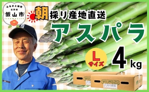 【2026年発送 先行予約】朝採り!露地栽培 アスパラガス L級サイズ 4kg 《 2026年5月発送 》(Bu-004) | 信州 飯山 アスパラ 春アスパラ 露地栽培 朝採れ