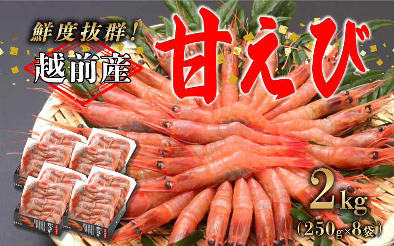 【選べる容量！】【小分け】越前産冷凍甘えび大サイズ 約250g × 8パック 合計約2.0kg 2.0kg（約250g × 8パック）