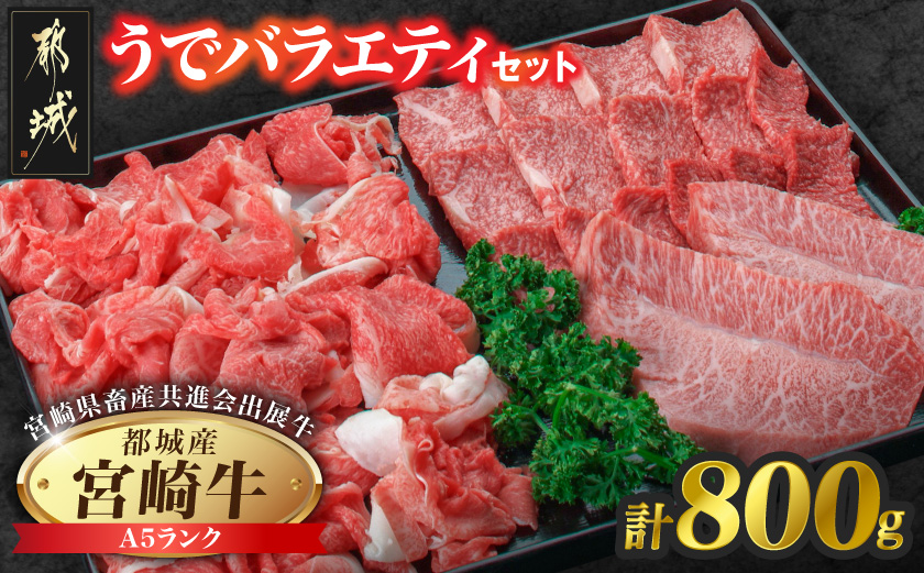 【共進会牛】(A5)宮崎牛うでバラエティセット_21-2502