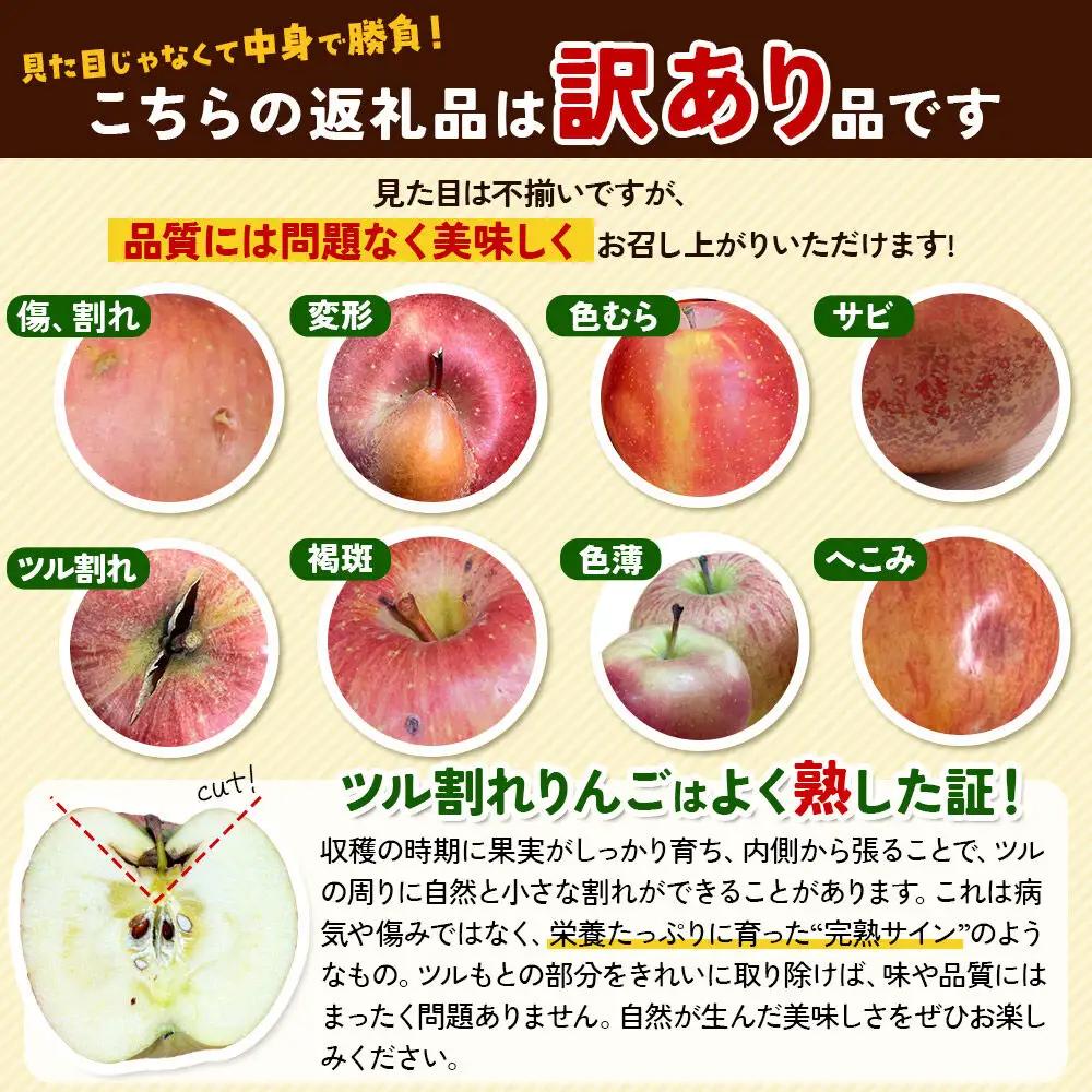 りんご 早生ふじ 訳あり 約10kg【11月発送】りんご