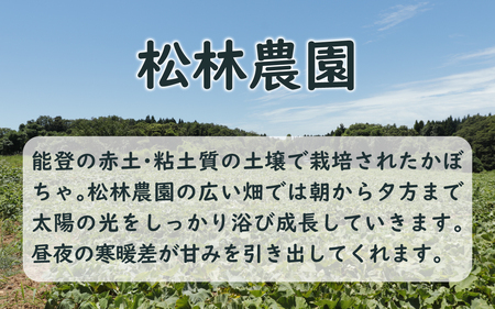 【先行予約】奥能登 穴水産 「赤土 夏かぼちゃ」約10kg(約4~7個)【2026年8月頃より順次発送】|  南瓜 カボチャ 甘い