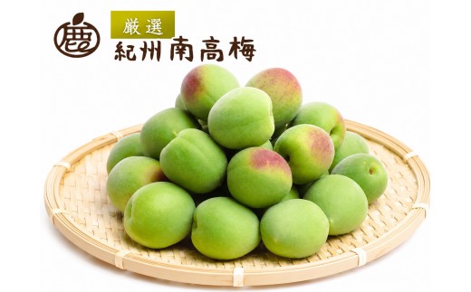 
                  青梅 厳選 南高梅 1kg+250g（痛み補償分） / 梅 梅ジュース 梅酒 梅干し 高級 和歌山 ※5月中旬～6月下旬頃に発送予定 ※北海道・沖縄・離島への配送不可 【ikd508-p-1G】
                