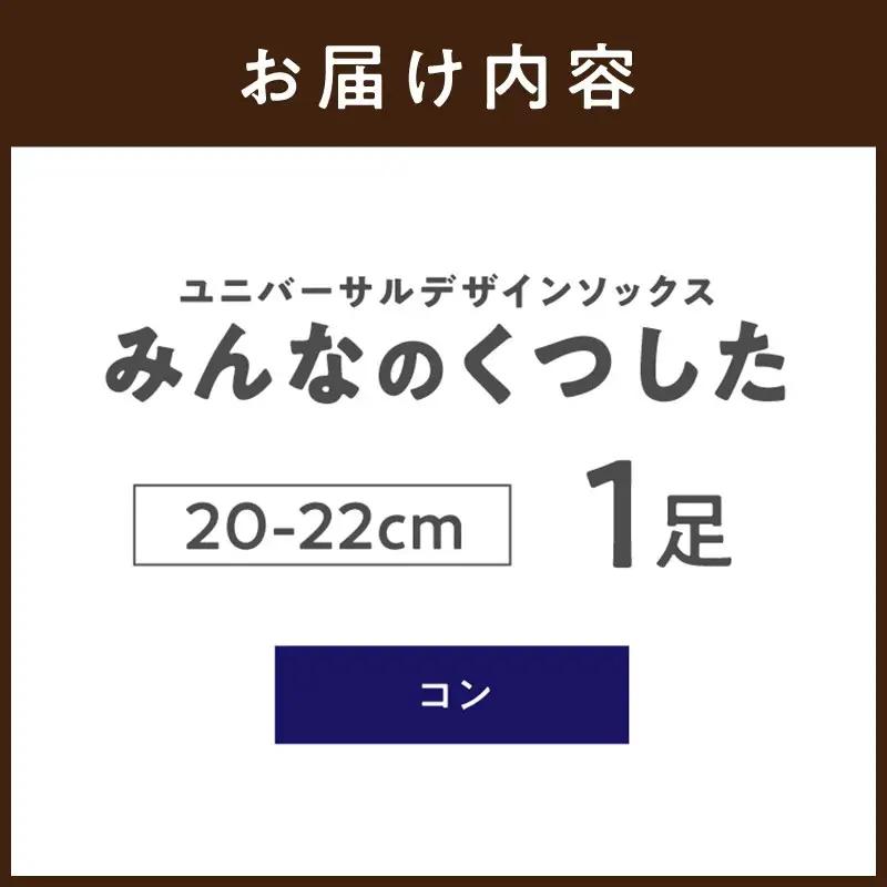 みんなのくつした 1足(20-22cm)【コン】【2500T16801_02】