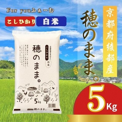 【コシヒカリ】京都府綾部産 白米「穂のまま。」精米5kg【1771120】
