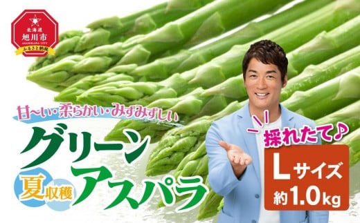 【2026年先行予約】夏収穫グリーンアスパラ Lサイズ 1kg（2026年7月上旬から発送開始予定）【 アスパラ アスパラガス 朝採り とれたて 野菜 旬 小分け 保存 産直 産地直送 お取り寄せ 旭川市 北海道 】_00414