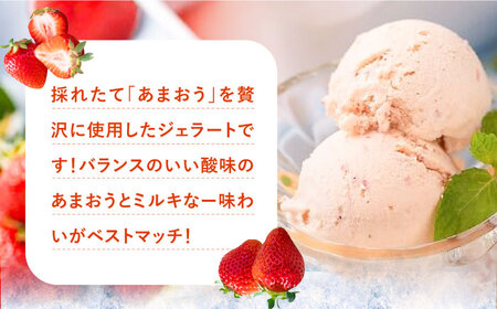 厳選あまおう ジェラート 100ml×6個 VBY002 アイス ジェラート あまおう