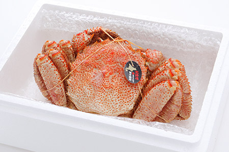 毛がに1kg～1.1kg前後×1尾 C-58010【12月20日決済分まで年内配送】