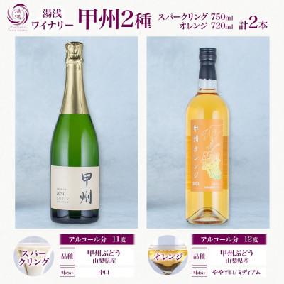 ふるさと納税 湯浅町 甲州ワイン 2種セット 甲州オレンジ 甲州スパークリング 各1本 計2本 湯浅ワイナリー ワイン |  | 03