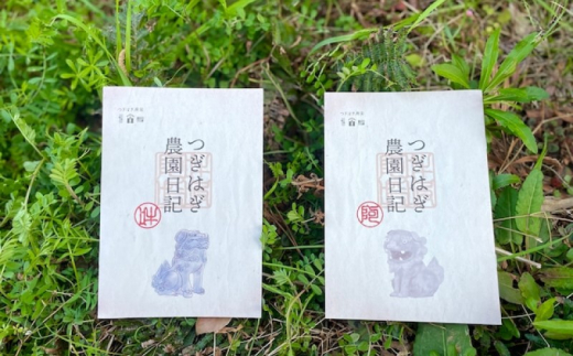 みかん 甘夏 10kg セット 『つぎはぎ農園日記』つぎはぎセット 果物 柑橘 ミカン フルーツ　｜HG000879