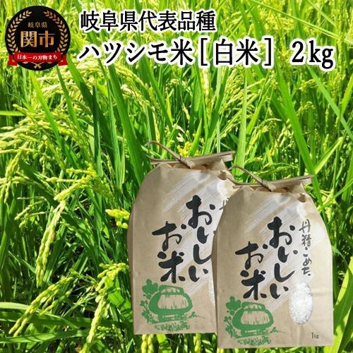 G5-19 S19 令和7年産 ハツシモ米【白米】2kg
