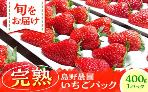 【先行予約】【数量限定40セット】島野農園のいちご（400g×1パック） 紅ほっぺ ほしうらら 苺 イチゴ ストロベリー フルーツ 果物 野菜 ギフト 贈り物 いちごハウス 神奈川県 国産 横須賀 数量限定 農園 【島野農園】 [AKHV001]