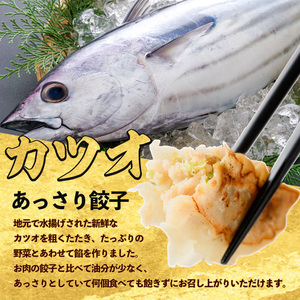 カツオ餃子10パックセット 紅龍 IB131-001 かつお餃子 カツオ餃子