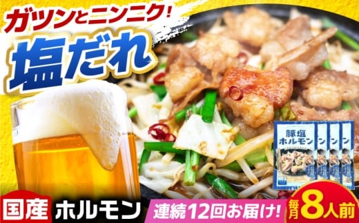 【12回定期便】岐阜県産豚もつの鉄板焼き「元祖みたけとんちゃん」豚塩味 4袋（8人前） / モツ もつ 白もつ ホルモン / 御嵩町 / 藤よし [AVAA063]