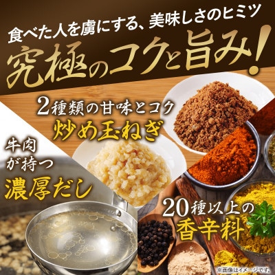 食研カレー　200g×10袋入り【VB02360SET10】