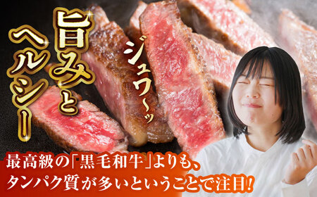 【全12回定期便】【数量限定】GIくまもとあか牛ロースステーキ　約500g【山鹿市（桜屋）】 熊本 特産 熊本県産  牛肉 牛 特選 定期 [ZBO028]