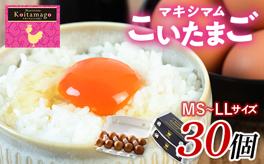 【TVで話題沸騰！】とにかく黄身が濃いたまご「マキシマムこいたまご」30個入り 伊達市 福島県 国産 MS～LLサイズ 卵 たまご 玉子 生卵 鶏卵 F21C-479