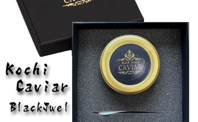 
                  高知産熟成キャビア30g(化粧箱)シェルスプーン付Black　Jewel＜高知市共通返礼品＞
                