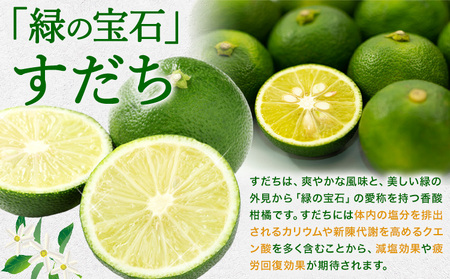 すだち果汁スティック(5ml×30)　