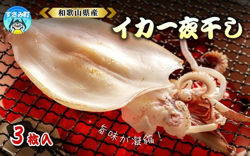 
すさみ町産　スルメイカの一夜干し 3枚入り(1匹あたり140g) / 海鮮 魚介 干物 おつまみ アテ 肴 肉厚 スルメイカ ゲソ 使い切り 冷凍【scp115】
