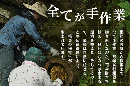 【秘境を味わう】椎葉の秘蜜 【150g×2本】国産天然はちみつ【数量限定】 MS-08