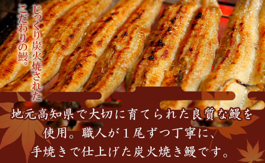 炭火手焼のうなぎ蒲焼き ２尾(合計約260g) 蒲焼のたれ付き - 送料無料 鰻 ウナギ タレ付き 夕飯 夕食 ご飯のお供 うな丼 うな重 丼ぶり ひつまぶし おつまみ 養殖 土用の丑の日 スタミナ 