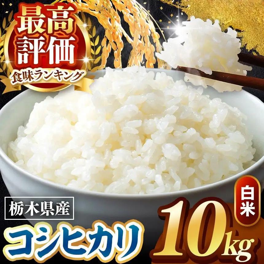 令和8年度産 先行予約 こしひかり 白米 10kg
