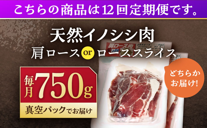 【12回定期便】ジビエ 天然イノシシ肉 肩ロース ＆ ロース スライス750g【照本食肉加工所】 [OAJ057]