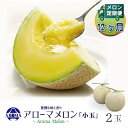 【ふるさと納税】【毎月定期便】アローマメロン(小玉) 2玉 全12回【配送不可地域：離島・北海道・沖縄県】【4013012】