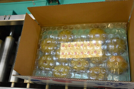 梨 【2026年予約受付】金沢梨 5kg JA金沢市 