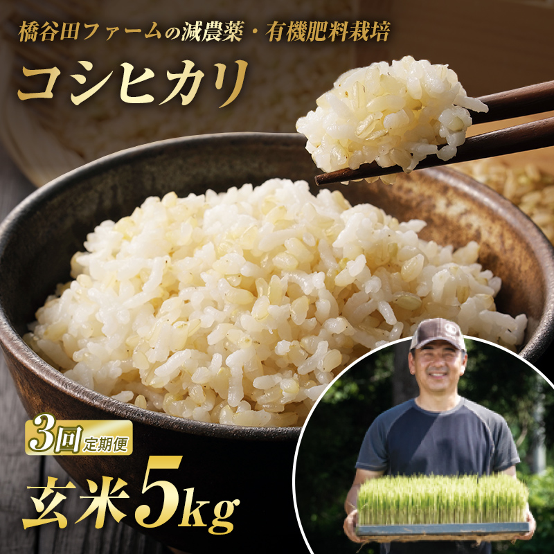 《定期便3ヶ月》 減農薬・有機肥料栽培 西会津産米コシヒカリ 玄米 5kg 米 お米 おこめ ご飯 ごはん 福島県 西会津町 F4D-2197